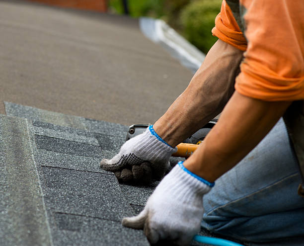 Roof Gutter Cleaning in Homewood, SC